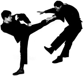 jkd side kick